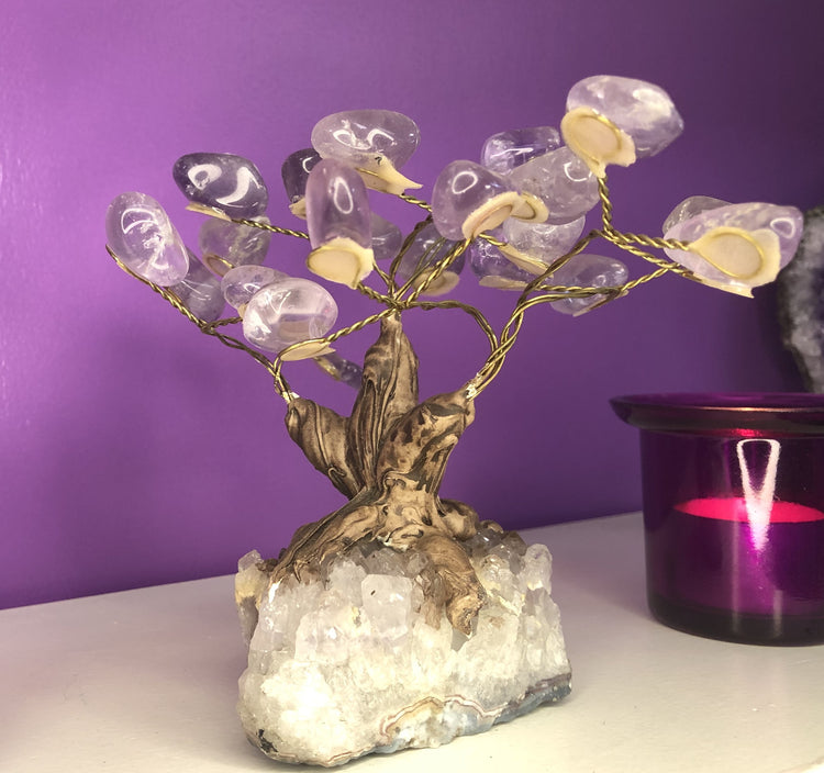 Amethyst Crystal Tree (medium)